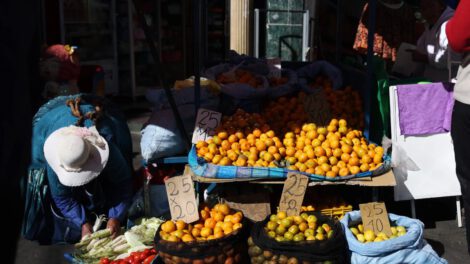 Decrecimiento PIB Bolivia