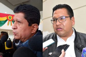 Unificación de elecciones subnacionales y judiciales complementarias