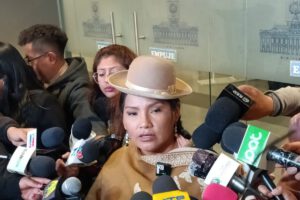 Control electoral del PDC liderado por Ana María Crispín