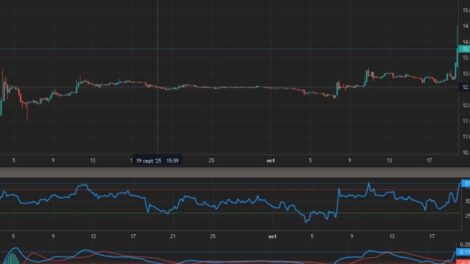 Dólar paralelo en Bolivia supera los Bs 14