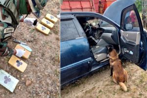 Aprehenden a pareja de traficantes de droga en carretera Santa Cruz - Cochabamba