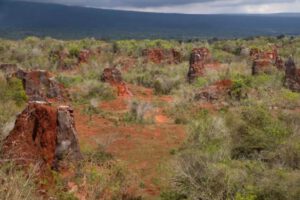 Inversión extranjera en tierras raras en Malasia