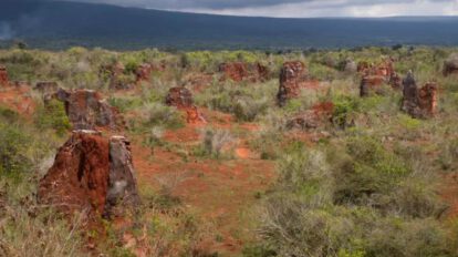 Inversión extranjera en tierras raras en Malasia