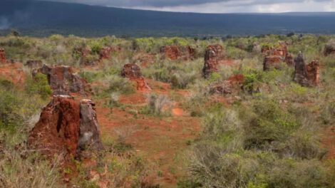 Inversión extranjera en tierras raras en Malasia
