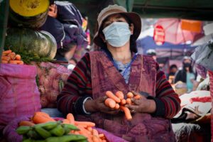 Inversión en seguridad alimentaria por el Gobierno de Bolivia