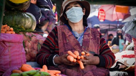 Inversión en seguridad alimentaria por el Gobierno de Bolivia