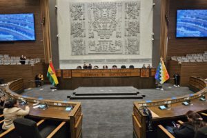 Ley para regular trabajadores sociales en Bolivia