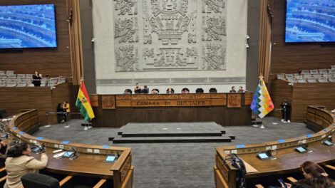 Ley para regular trabajadores sociales en Bolivia