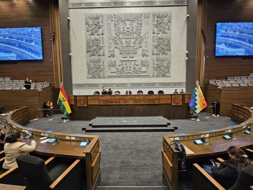 Ley para regular trabajadores sociales en Bolivia