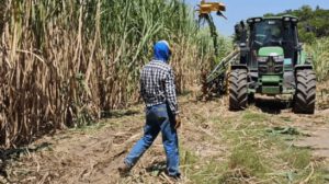 Cañeros exigen pago de más de Bs 300 millones por etanol