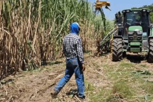 Cañeros exigen pago de más de Bs 300 millones por etanol