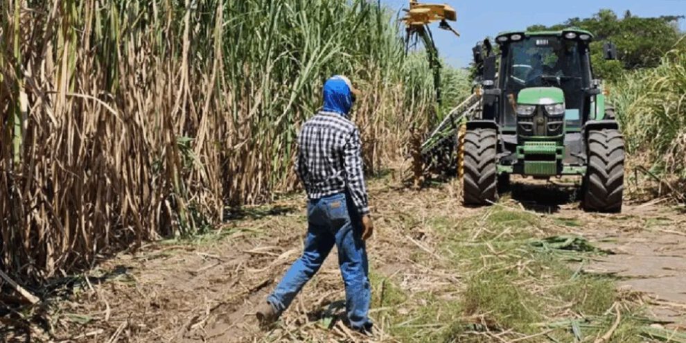 Cañeros exigen pago de más de Bs 300 millones por etanol