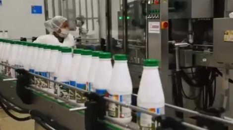 Productores lecheros de Tarija y Beni alzan la voz por suspensión del acopio de leche