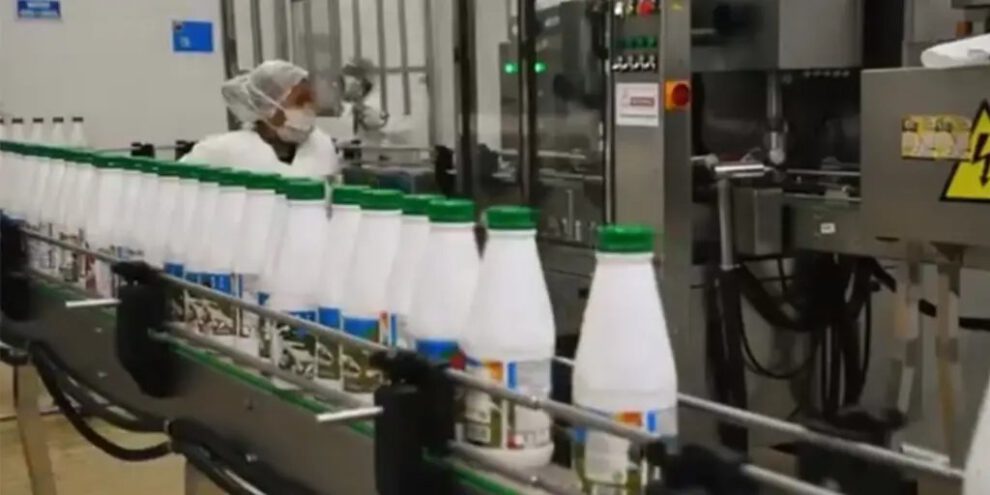 Productores lecheros de Tarija y Beni alzan la voz por suspensión del acopio de leche