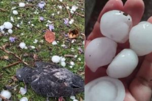 Fenómenos climáticos en Bolivia