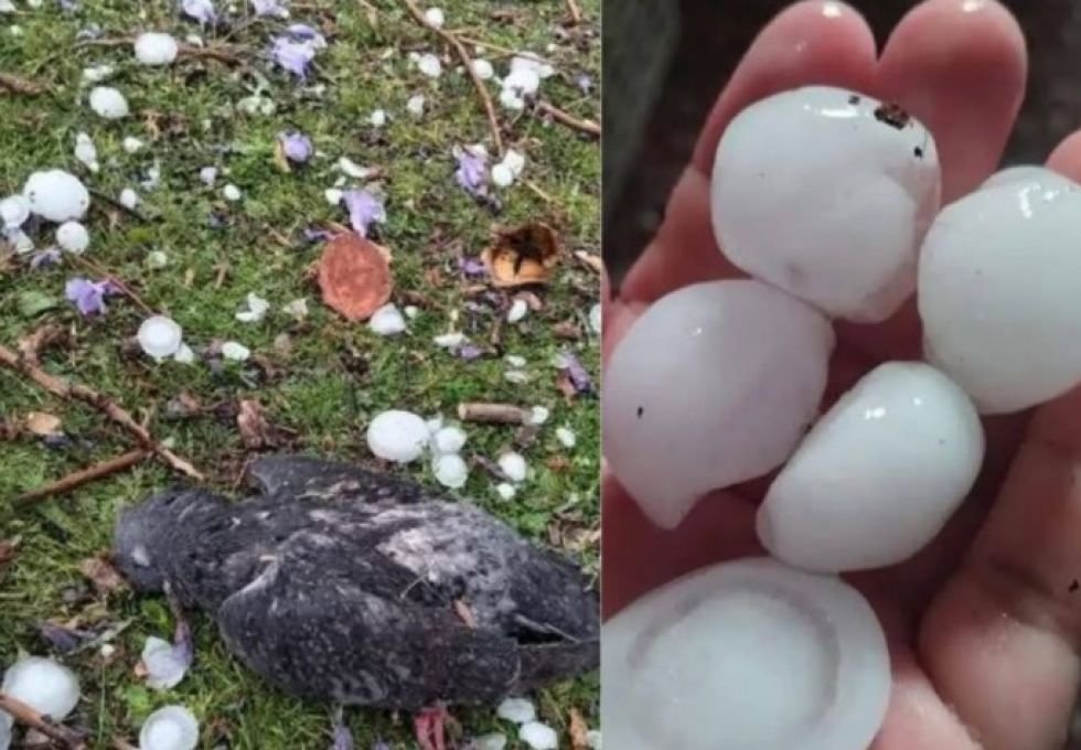 Fenómenos climáticos en Bolivia