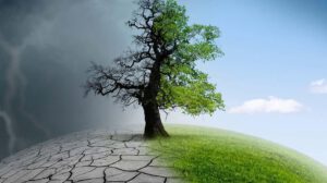Día Internacional Contra el Cambio Climático en Bolivia