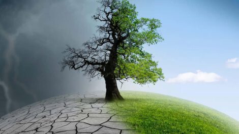 Día Internacional Contra el Cambio Climático en Bolivia