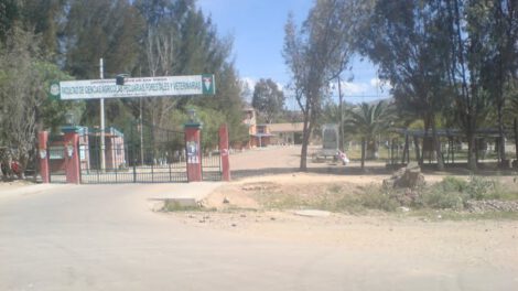 Estudiante muere tras pelea en UMSS