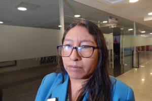 Ley sobre elecciones subnacionales discutida por Olivia Guachalla