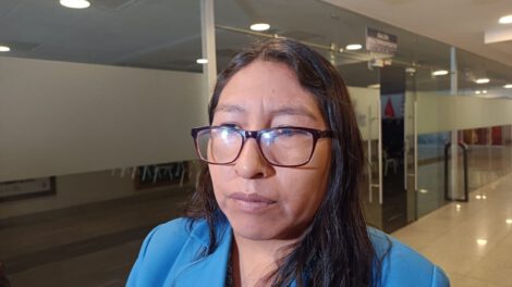 Ley sobre elecciones subnacionales discutida por Olivia Guachalla