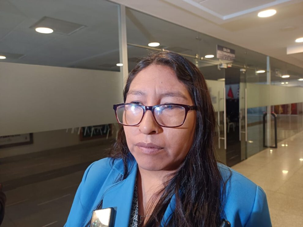 Ley sobre elecciones subnacionales discutida por Olivia Guachalla