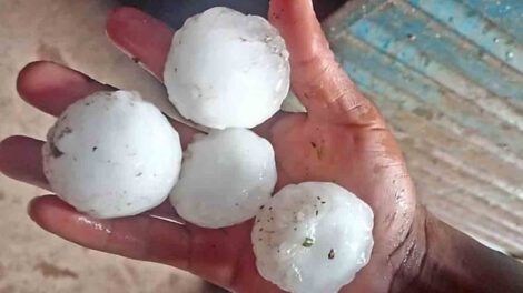 Granizadas en Chuquisaca afectan 2.000 familias