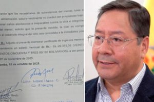 Luis Arce asistencia familiar