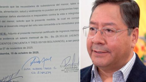 Luis Arce asistencia familiar