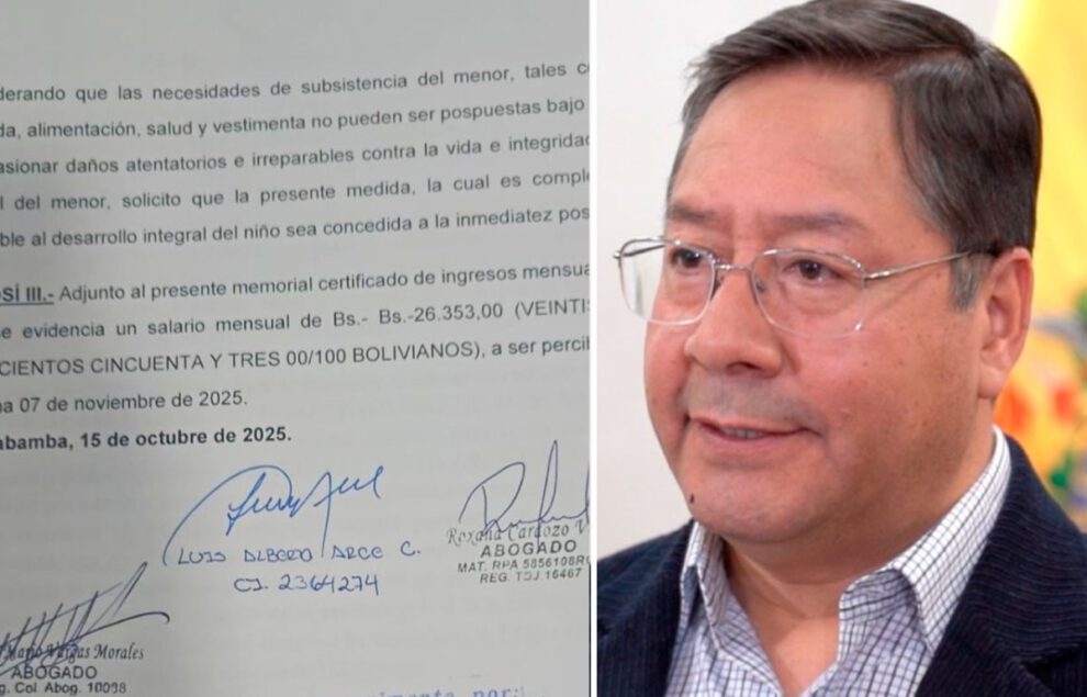 Luis Arce asistencia familiar