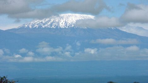 Pérdida de biodiversidad en Kilimanjaro