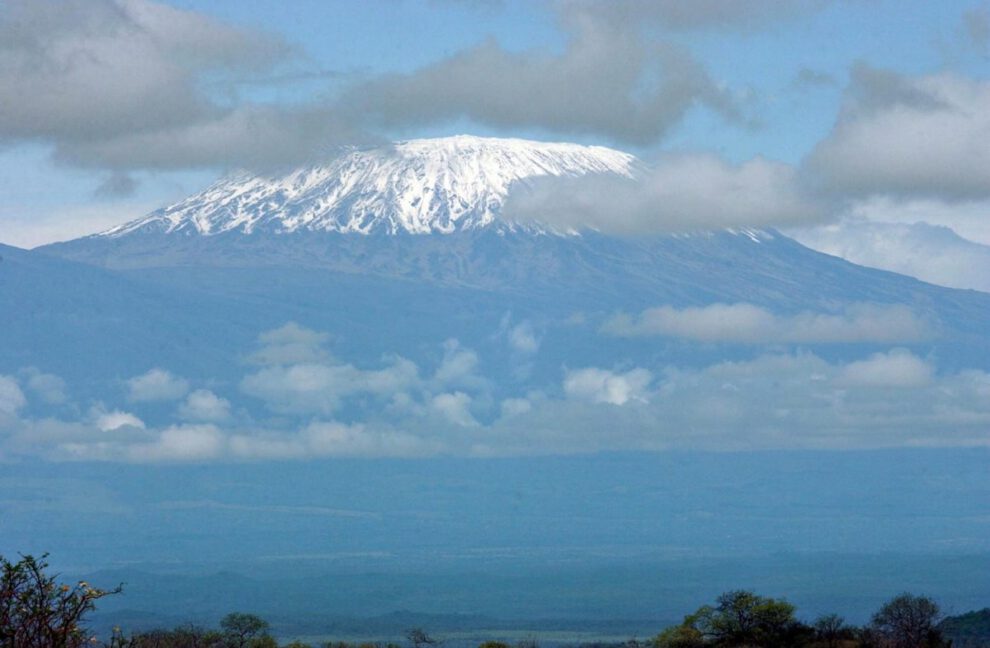 Pérdida de biodiversidad en Kilimanjaro