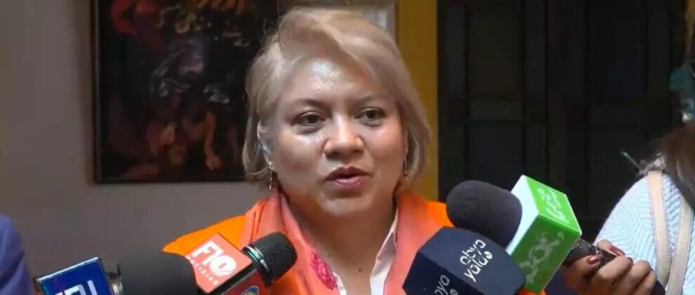 jefaturas de bancada en el PDC