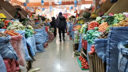 Falta de diésel afecta producción de quinua