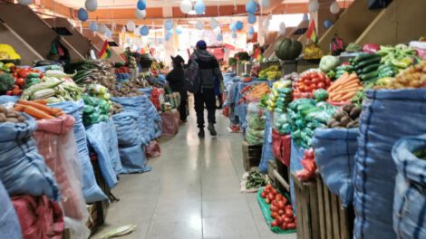 Falta de diésel afecta producción de quinua