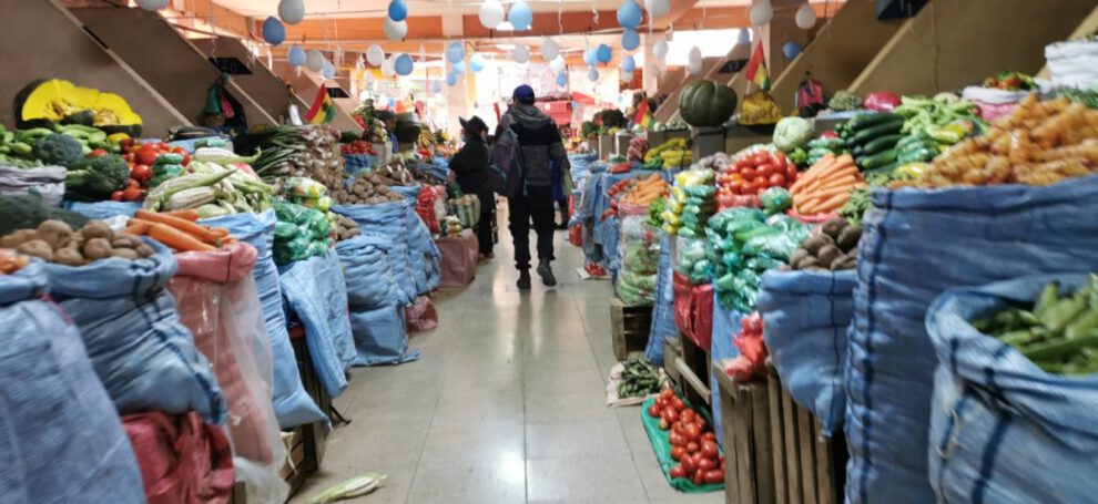 Falta de diésel afecta producción de quinua