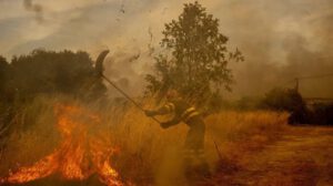 Incendios y cambio climático en los bosques