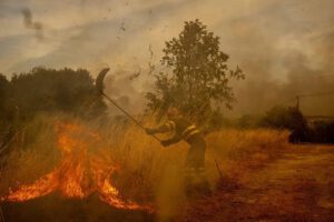 Incendios y cambio climático en los bosques