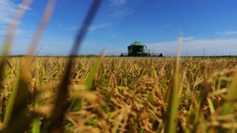 Producción nacional en el contexto de la crisis económica