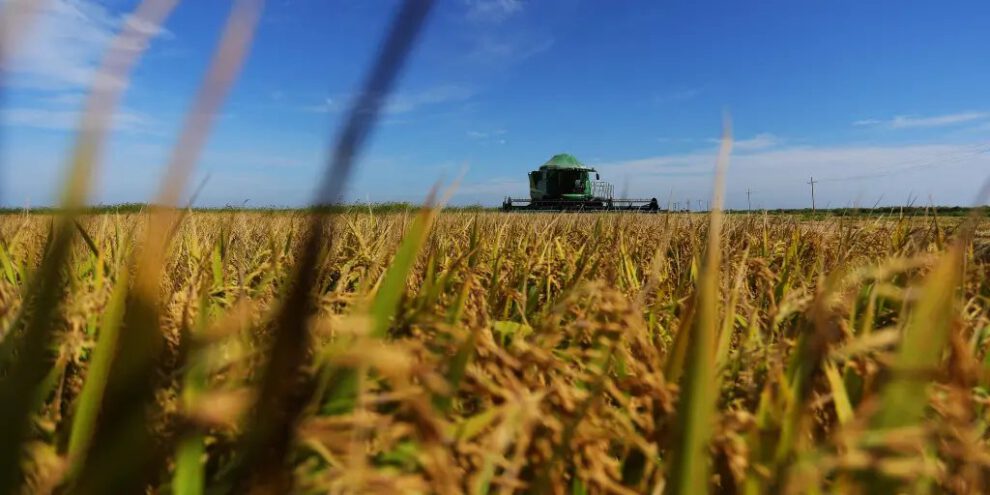 Producción nacional en el contexto de la crisis económica