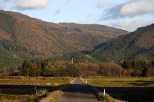 Ataques de osos en Japón