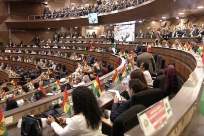 Ley de elecciones subnacionales en la Cámara Baja
