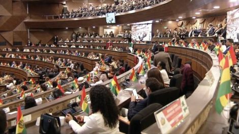 Ley de elecciones subnacionales en la Cámara Baja