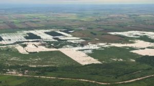 Cultivos de soya en crisis por intensas lluvias en el Norte cruceño