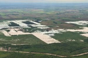 Cultivos de soya en crisis por intensas lluvias en el Norte cruceño