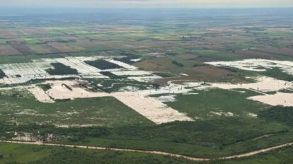 Cultivos de soya en crisis por intensas lluvias en el Norte cruceño