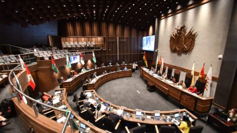 Ley de elecciones subnacionales aprobada por la Cámara de Senadores