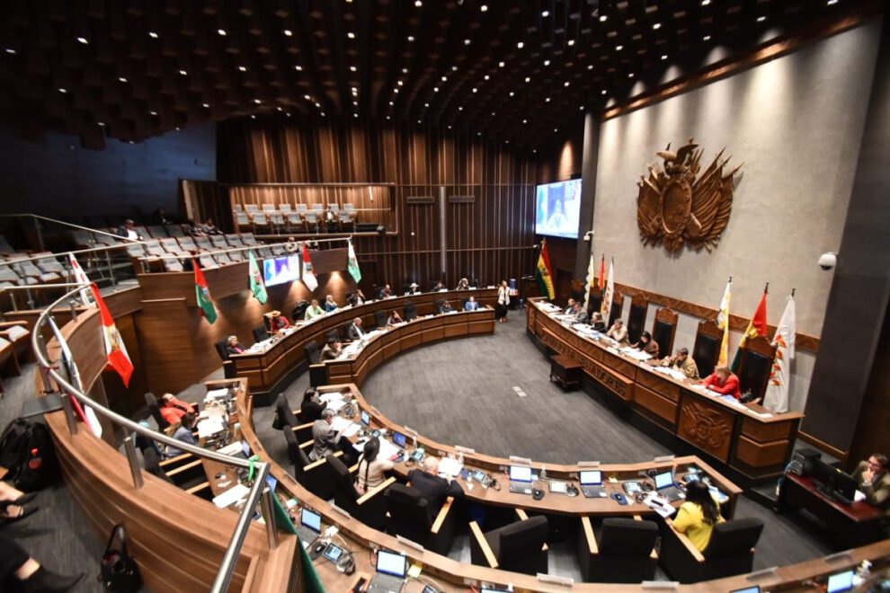 Ley de elecciones subnacionales aprobada por la Cámara de Senadores