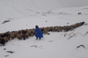 Nevadas en La Paz pronosticadas por Senamhi
