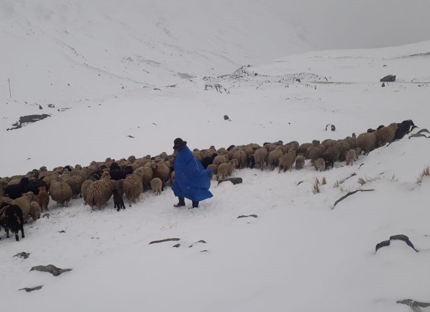 Nevadas en La Paz pronosticadas por Senamhi